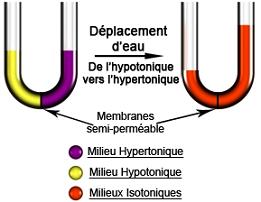 PDF La Notion De Pression Hydrostatique PDF Télécharger Download